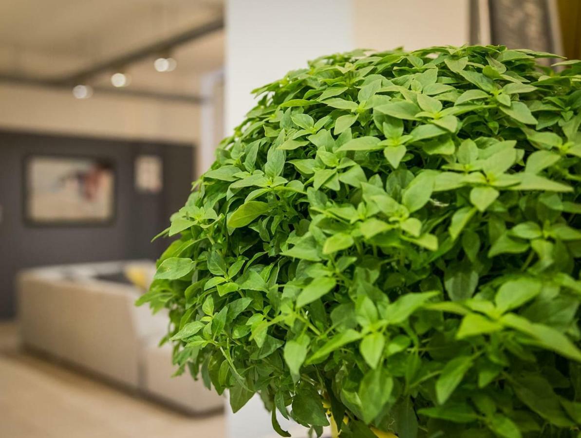 Renovated Loft At The Center Of Monastiraki Atenas Exterior foto